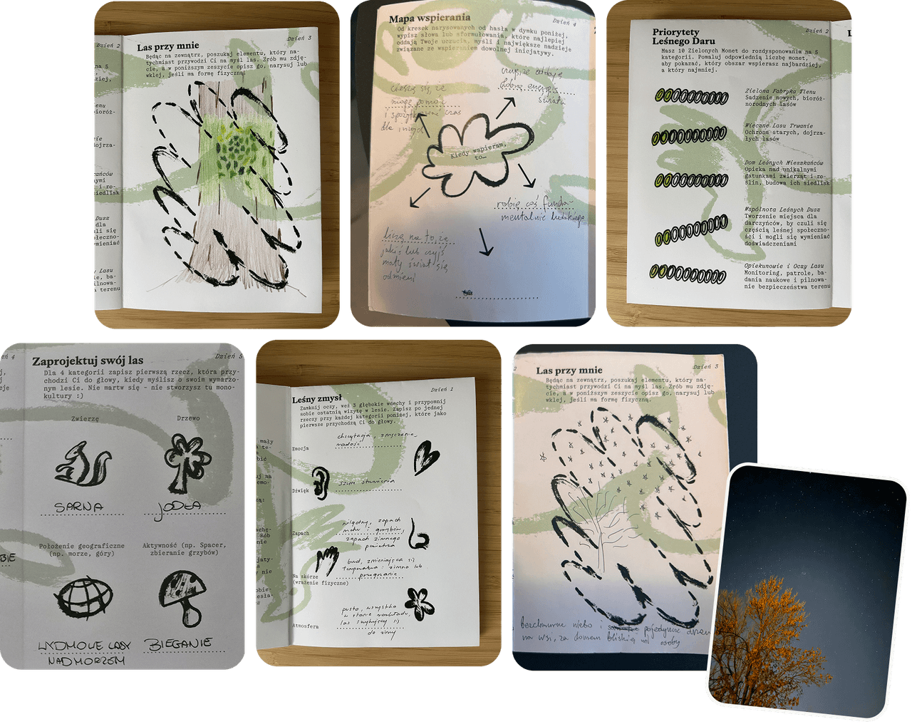 Photos of hand-drawn zine pages filled in by participants